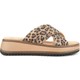  Renk Leopar