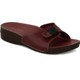  Renk Bordo