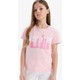  Renk Pembe-PN47