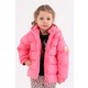  Renk Pembe