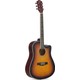 Seçili Renk Sunburst