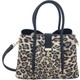  Renk Leopar