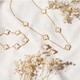 Renk Gold - Beyaz