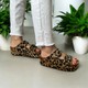  Renk Leopar