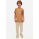  Renk Camel