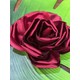  Renk Bordo
