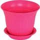  Renk Pembe