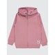  Renk Pembe
