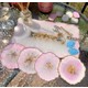  Renk Pembe