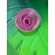  Renk Pembe