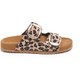  Renk Leopar