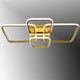  Renk Gold