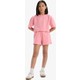  Renk Pembe