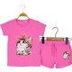  Renk Pembe