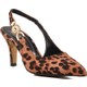  Renk Leopar