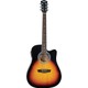 Seçili Renk 3 Renk Sunburst