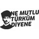 Seçili Renk Siyah
