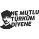 Seçili Renk Renkli