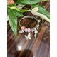  Renk 12E-Pembe