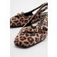  Renk Leopar