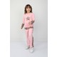  Renk Pembe