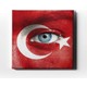 Seçili Renk Karma
