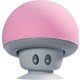  Renk Pembe