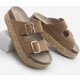  Renk Camel