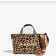  Renk Leopar