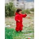 Seçili Renk Kırmızı