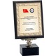 Seçili Renk Altın