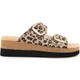  Renk Leopar