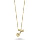  Renk Gold