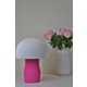  Renk Pembe