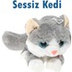 Seçili Renk Gri