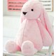 Seçili Renk Pembe