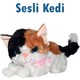 Seçili Renk Kahverengi