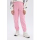  Renk Pembe-PN445