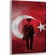 Seçili Renk Renkli