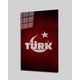 Seçili Renk Renkli