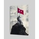 Seçili Renk Renkli
