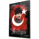 Seçili Renk Renkli