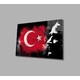 Seçili Renk Renkli