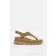  Renk Camel