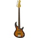 Seçili Renk 3 Renk Sunburst