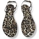  Renk Leopar