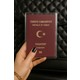 Seçili Renk Şeffaf