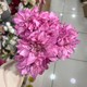  Renk Pembe