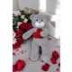  Renk 27 Gri