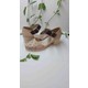  Renk 0019 Bej